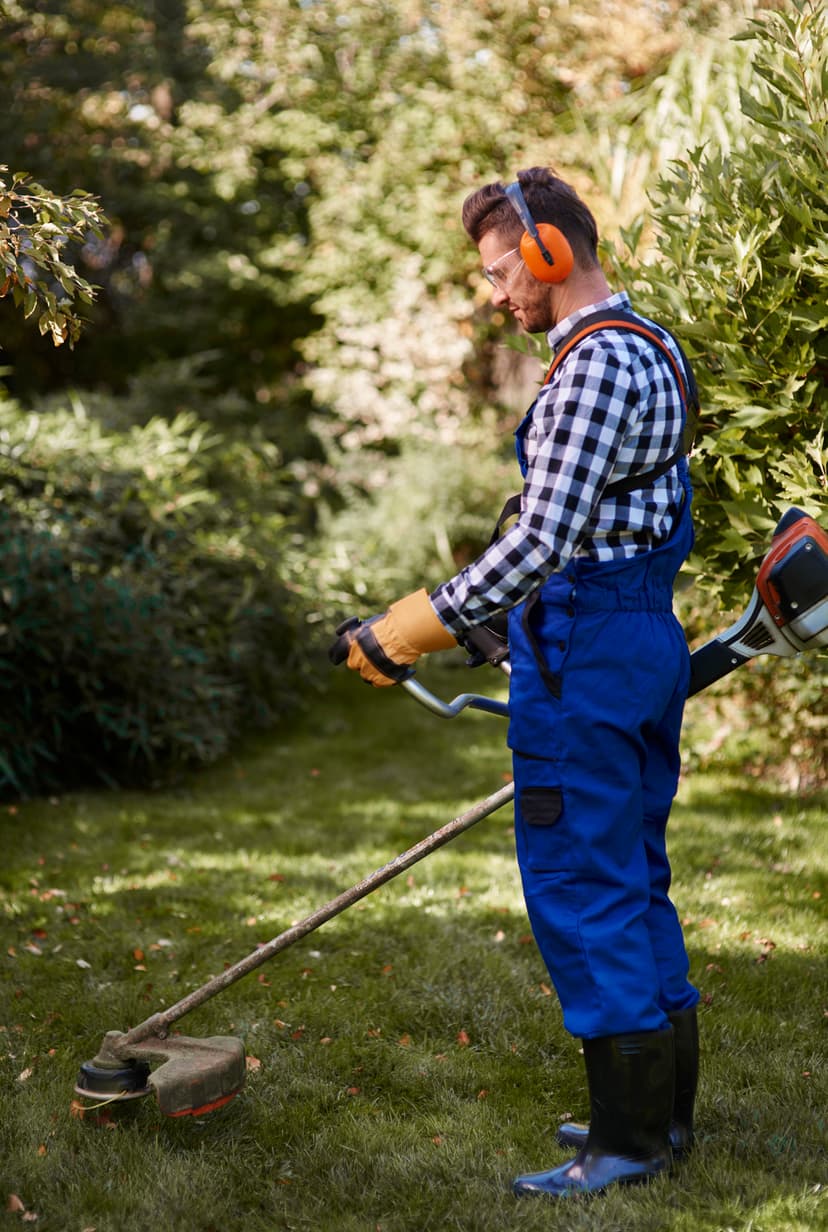 Landscaping Hero Image